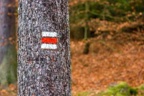 Red trail marking on tree in Czech Republic for tourist, hiker and trekker. Stock Photos