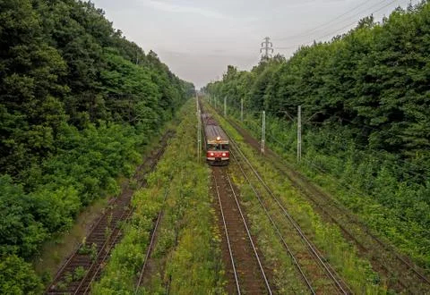 Red Train in forest Stock Photos