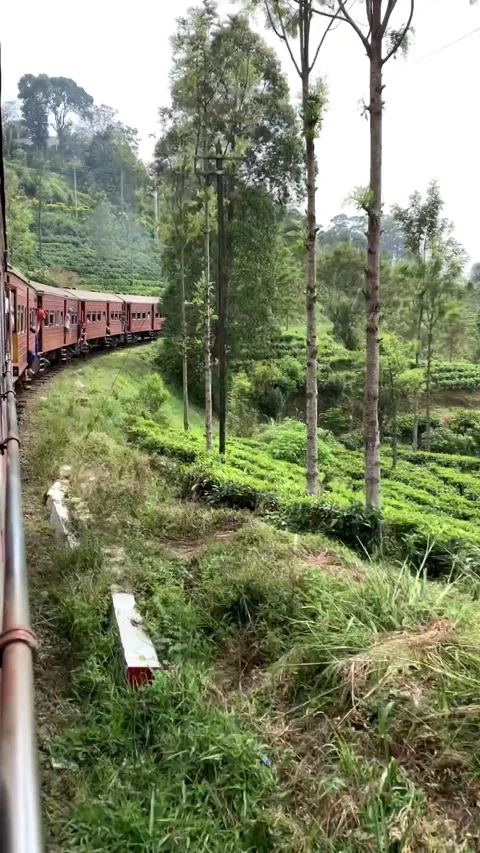 Red train in the nature Vídeos de archivo 135400223