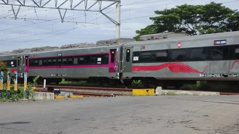 Red train passes by during the day. Stock Footage 294732757