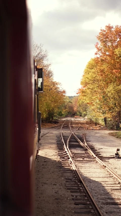 Red train passes through fall foliage Stock Footage 218266805