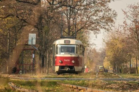 Red tram in forest Foto stock
