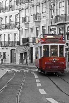 Red tram in lisbon. Stock Photos