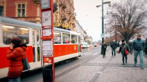 Red tram on a Prague street Stock Footage 79826341