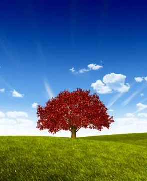 Red tree on green land. Stock Illustration
