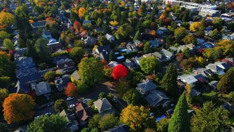 Red tree in the middle of suburbs in Oregon in Fall Stock-Footage 164408561