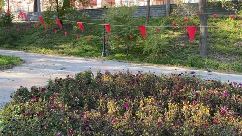 Red triangular flag on the background of the park Stock Footage 184770014