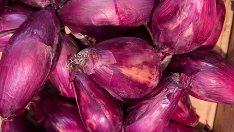 Red Tropea onions in braid Stock Footage 280082921