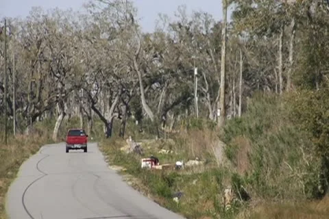 Red Truck Drives down in-between creepy trees Stock Footage 10765036