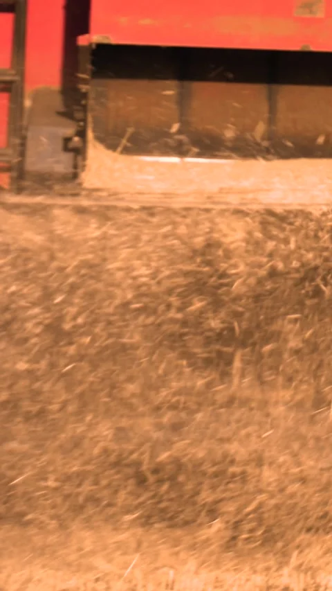 A red truck is dumping grain Stock Footage 297936601