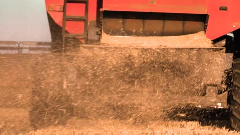 A red truck is dumping grain Stock Footage 299735811