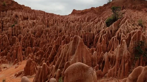 Red Tsingy stone formation formed by erosion in northern Madagascar Stock Footage 310535273