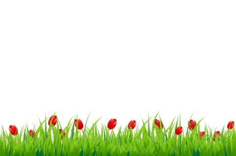 Red tulip border Stock Illustration