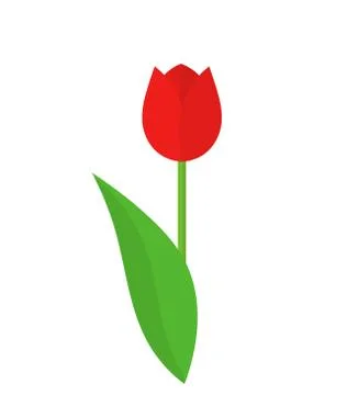 Red tulip flower with leaf. Vector illustration Stock Illustration