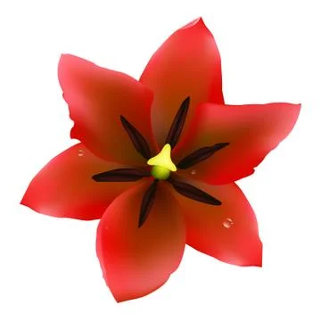Red tulip Stock Illustration