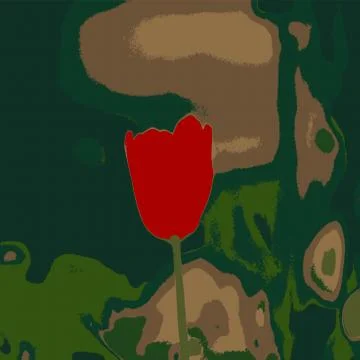 Red tulip illustration Stock Illustration