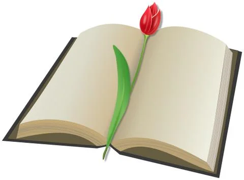 Red tulip at opened book Stock-Illustration