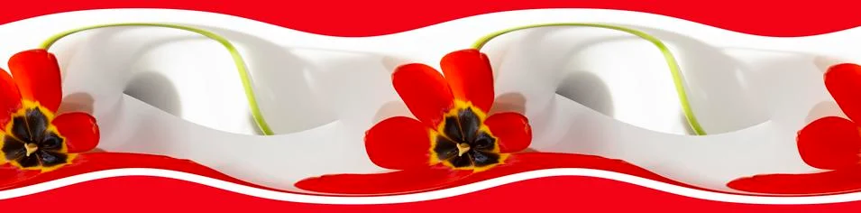 Red Tulip Seamless pattern border. repeating the pattern horizontally Stock Illustration