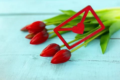 Red tulips in a bouquet on a blue solid background Stock Photos