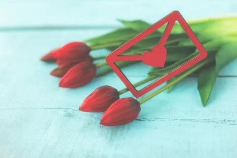 Red tulips in a bouquet on a blue solid background Stock Photos