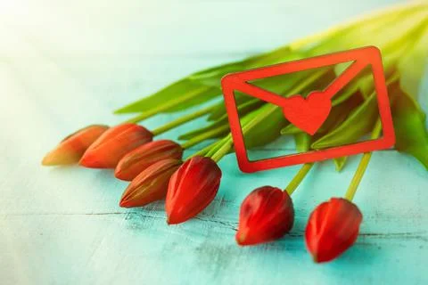 Red tulips in a bouquet on a blue solid background Stock Photos