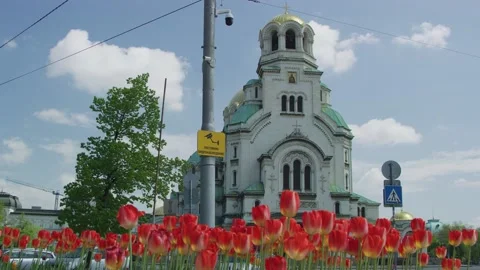 Red tulips in front of the Cathedral Saint Aleksandar Nevski - Bulgaria Stock Footage 162620397