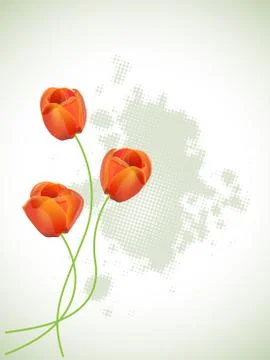 Red tulips Stock Illustration