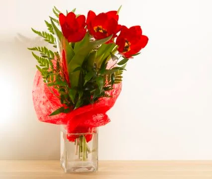 Red tulips Stock Photos