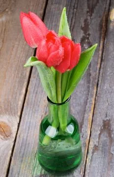 Red Tulips Stock Photos