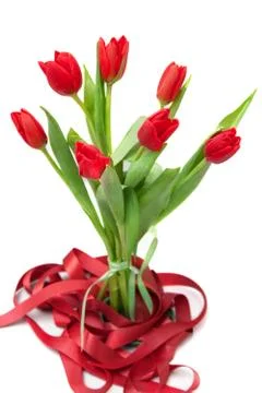 Red tulips Stock Photos