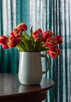 Red tulips Stock Photos