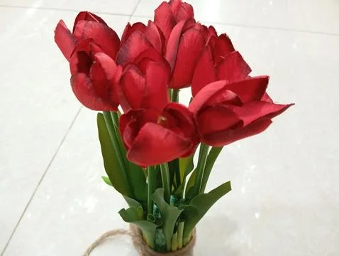 Red tulips Stock Photos