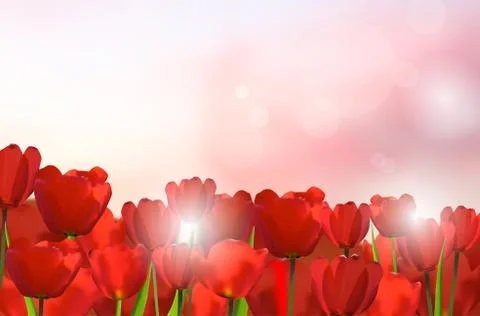 Red tulips on shiny background Stock Illustration