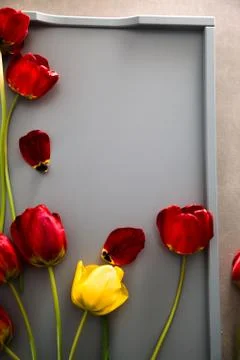 Red Tulips on table. Spring Easter flowers. Stock Photos
