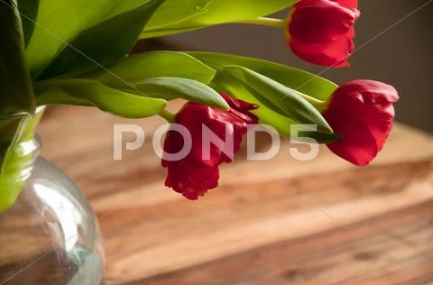 Red tulips in a vase, which stands on the table Stock Photos
