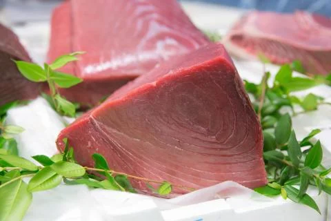 Red tuna Stock Photos