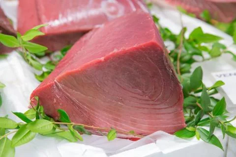 Red tuna Stock Photos