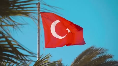 A red Turkish flag fluttering in the wind among palm trees against a blue sky Stock Footage 323903699