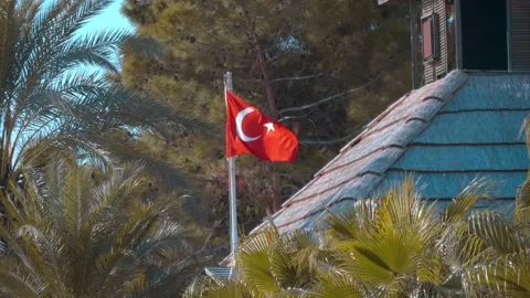 A red Turkish flag flutters in the wind on the roof of a house among palm trees Stock Footage 323956163