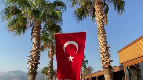 Red turkish flag with red and white moon waving on blue sky and palm backgrou Video stock 307698972
