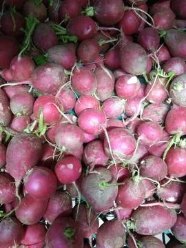 The red turnips in the basket Stock Photos