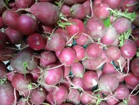 The red turnips on the basket Stock Photos