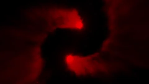 Red Twirl Particles Reveal Explotion Video stock 292069510