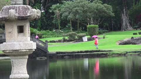 Red umbrella and reflection on lake Stock Footage 44014942