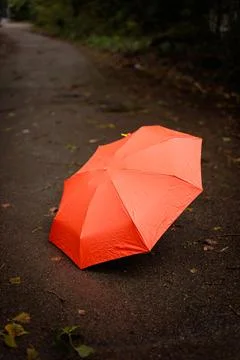 A red umbrella in the fall Photos