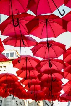 Red Umbrella Stock Photos