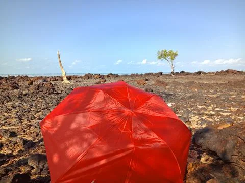 Red umbrella Stock Photos