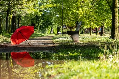 Red umbrella  Stock Photos