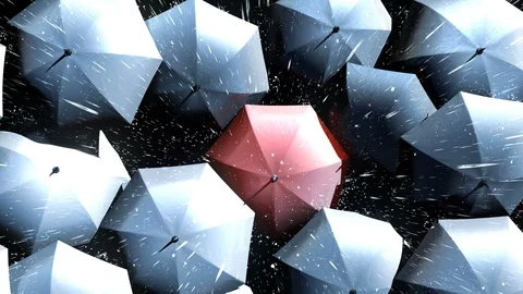 Red Umbrella Wades Through a Flow of Black Umbrellas Stock Footage 111582503