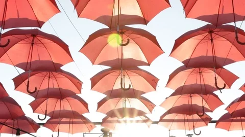 Red umbrellas Stock Footage 115694178